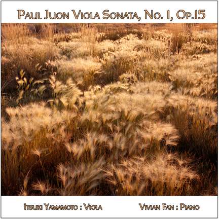 Viola Sonata No. 1, Op. 15