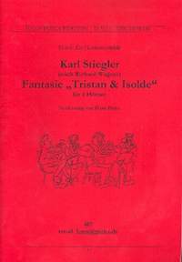 Stiegler, K: Fantasie "Tristan & Isolde"