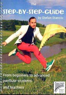 Stanciu, S: The Step-by-Step-Guide