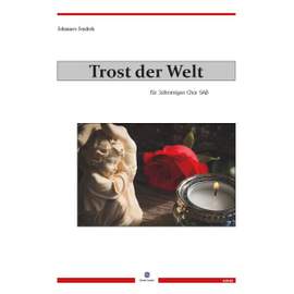 Jendrek, J: Trost der Welt