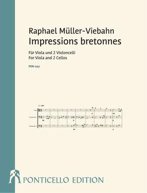 Müller-Viebahn, R: Impressions bretonnes