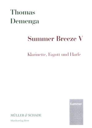 Demenga, T: Summer Breeze V