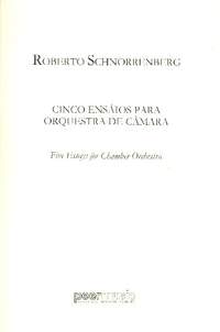 Schnorrenberg, R: 5 Essays