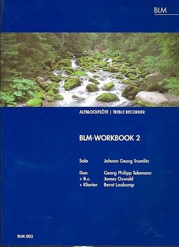 Blm-workbook 2