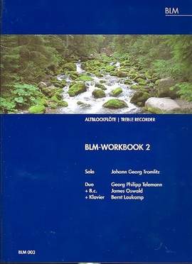 Blm-workbook 2