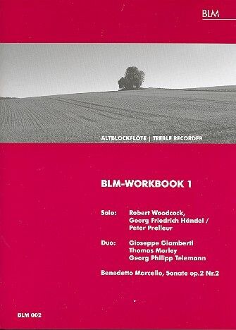 Blm-workbook 1