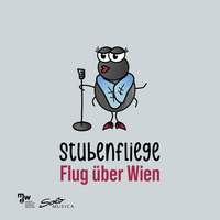 Flug über Wien