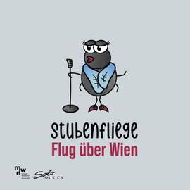 Flug über Wien