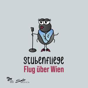 Flug über Wien