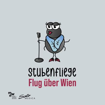 Flug über Wien