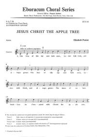 Poston, E: Jesus Christ the apple tree