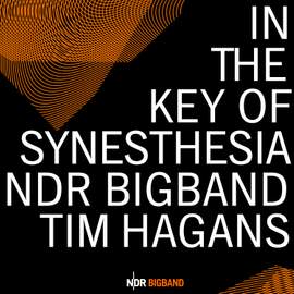 In the Key of Synesthesia