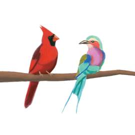 The Cardinal and the Roller