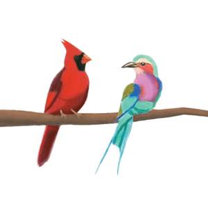 The Cardinal and the Roller