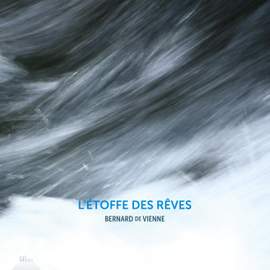 L'étoffe Des Rêves: Bernard de Vienne