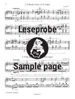 Next Stop: Chopin Product Image