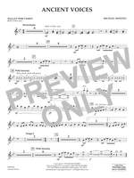Michael Sweeney: Ancient Voices - Mallet Percussion Product Image