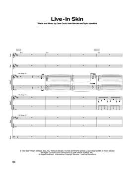 Foo Fighters: Live-In Skin
