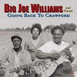 Big Joe Williams: Baby, Please Don't Go