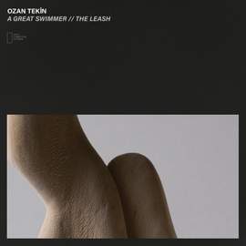 A Great Swimmer // The Leash