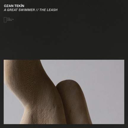 A Great Swimmer // The Leash