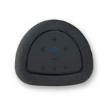 Bluesound PULSE Flex P130 Black Product Image