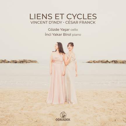 Liens et Cycles
