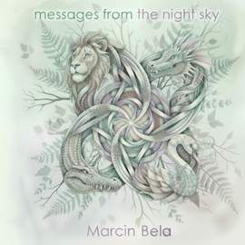 messages from the night sky