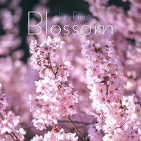 Eng, J: Blossom