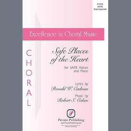 Robert S. Cohen: Safe Places Of The Heart