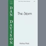 Dan Davidson: The Storm Product Image