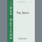 Dan Davison: The Storm Product Image