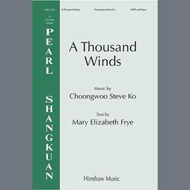 Steven Ko: A Thousand Winds