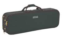 GEWA Violin case Cantus Green
