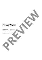 Daniela Berlin: Flying Water Product Image