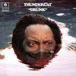 Thundercat: Them Changes Product Image