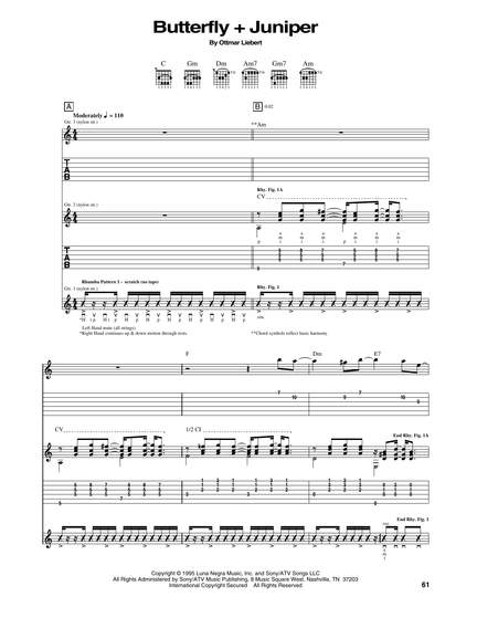Ottmar Liebert: Butterfly + Juniper