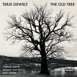 The Old Tree