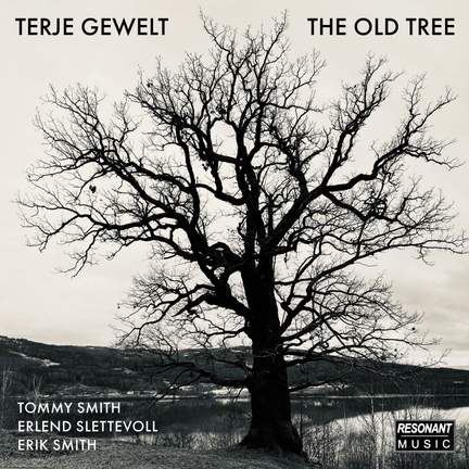 The Old Tree
