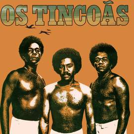 Os Tincoas