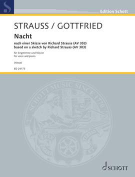 Gottfried, Lucas: Night