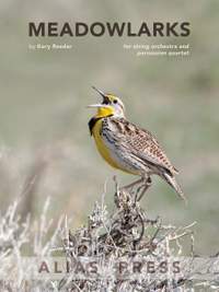 Kory Reeder: Meadowlarks