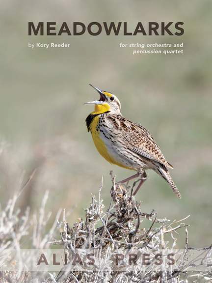 Reeder, K: Meadowlarks