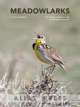 Kory Reeder: Meadowlarks