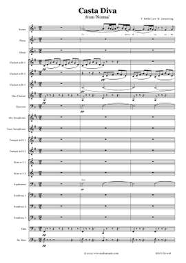 Vincenzo Bellini: Casta Diva (from 'Norma')