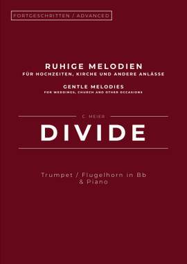 Christoph Meier: Divide