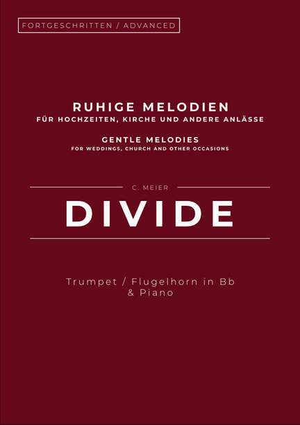 Christoph Meier: Divide