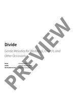 Christoph Meier: Divide Product Image