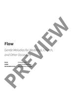 Christoph Meier: Flow Product Image