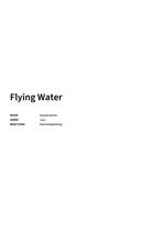 Daniela Berlin: Flying Water Product Image